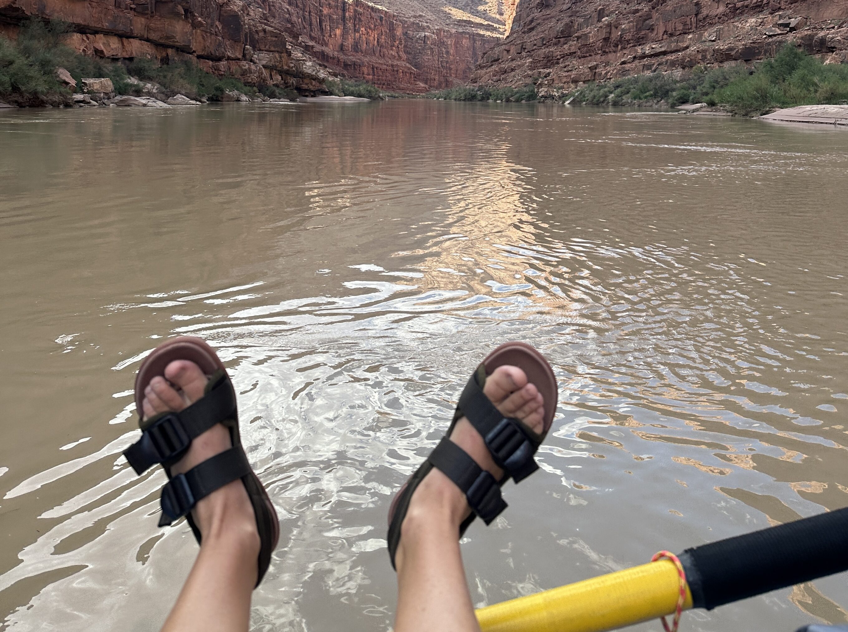 A pair of feet wearing Astral Webber Sandals hovers over the surface of the Colorado River in the Grand Canyon