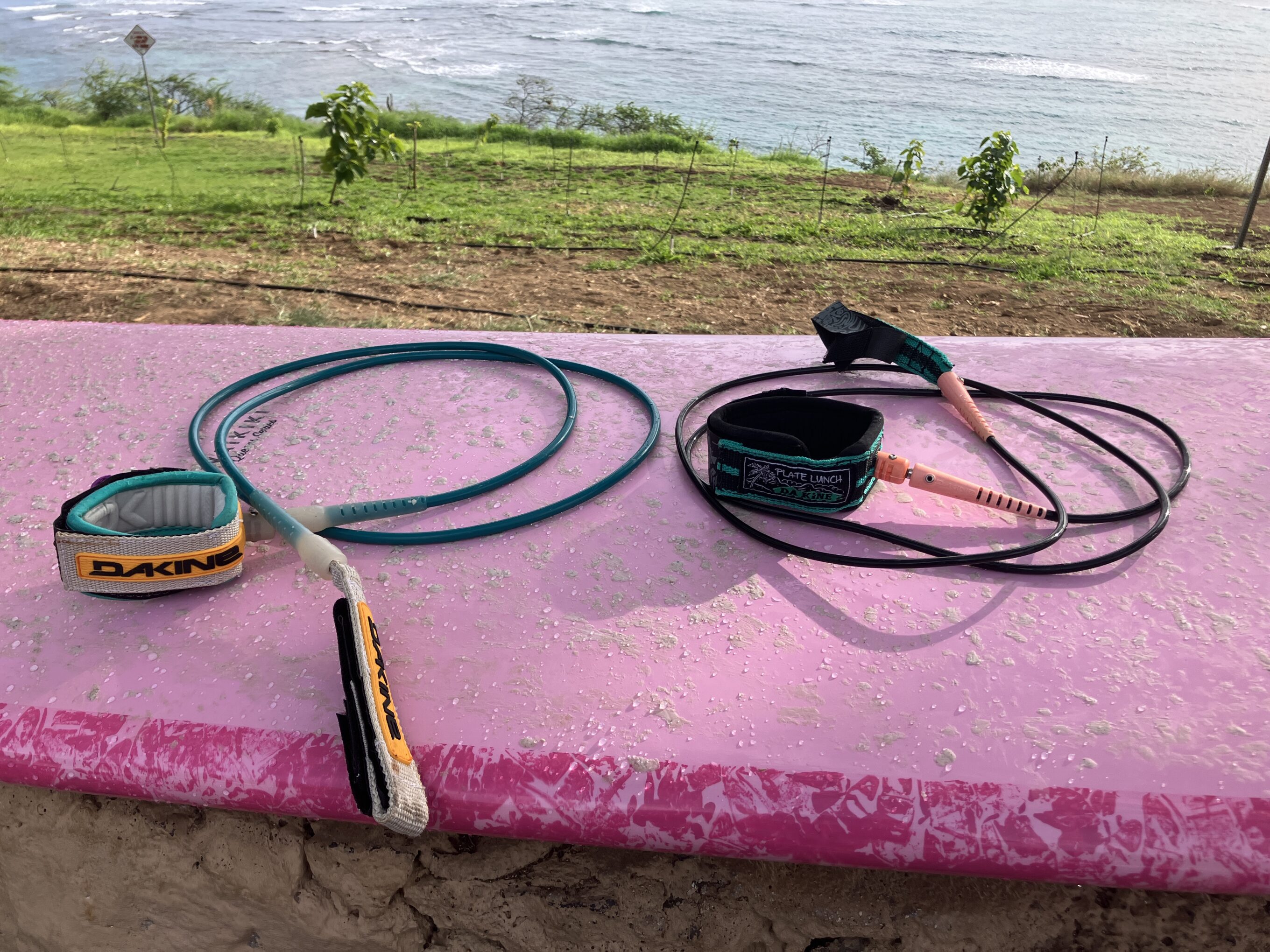 surf leashes
