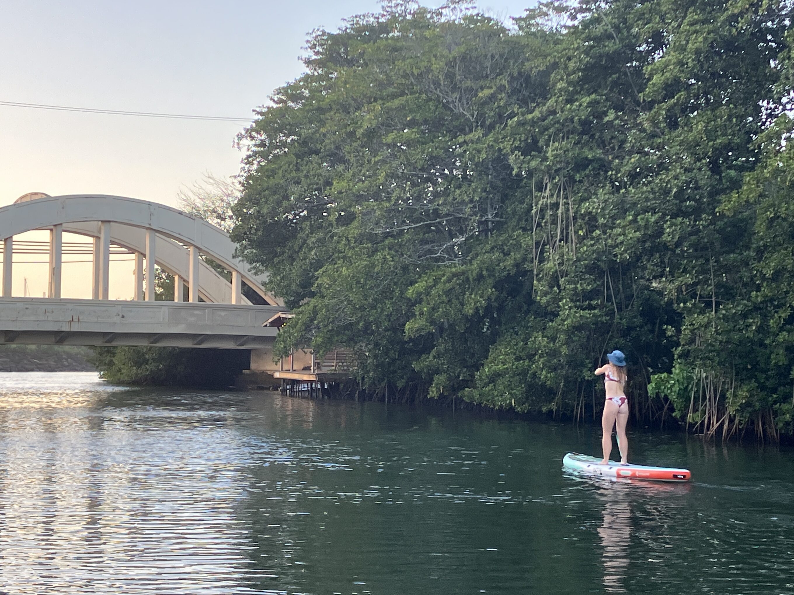 Cruising. Photo: Rebecca Parsons