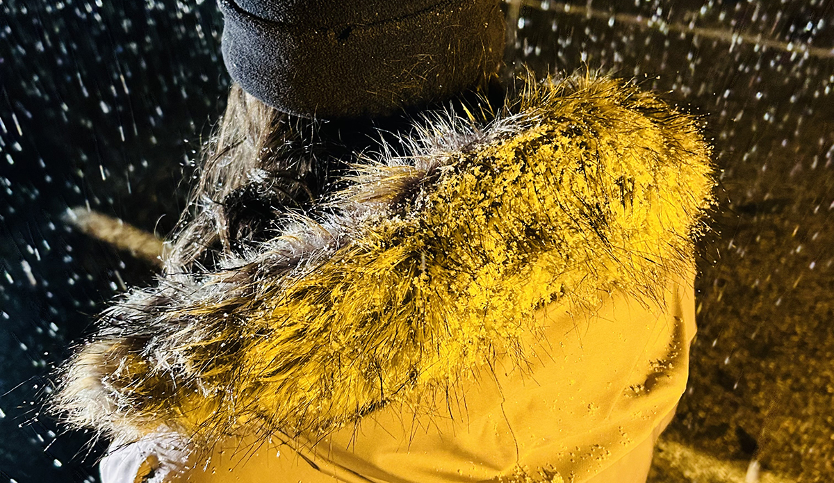 The North Face Women's Arctic Parka Fur