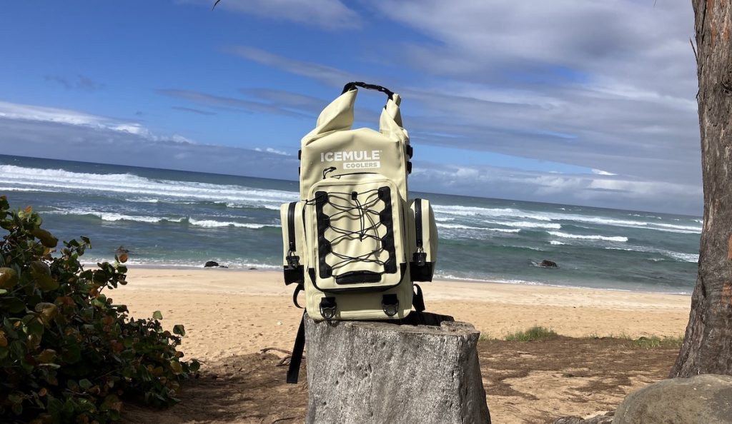 The IceMule Boss Backpack Cooler at the beach