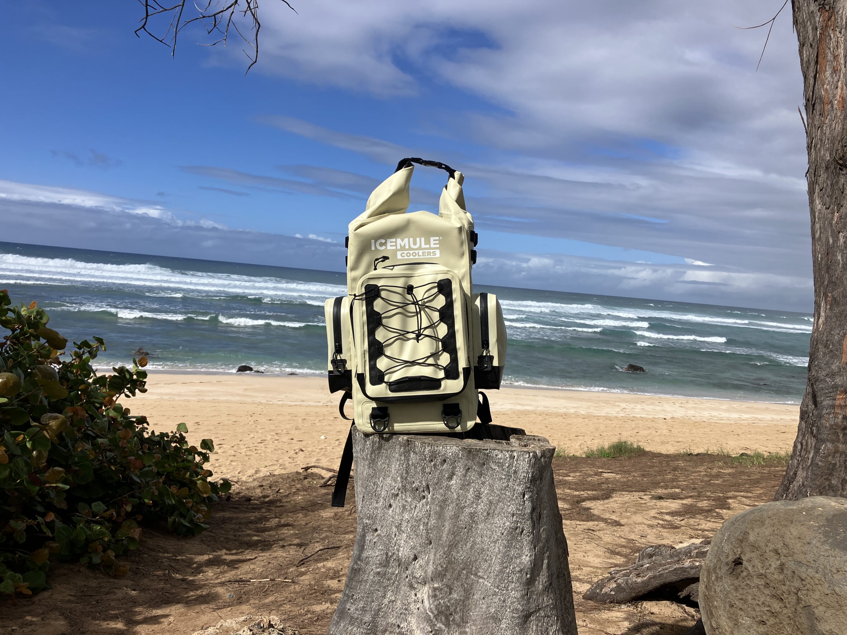 ICEMULE Boss Backpack Cooler sitting on a log
