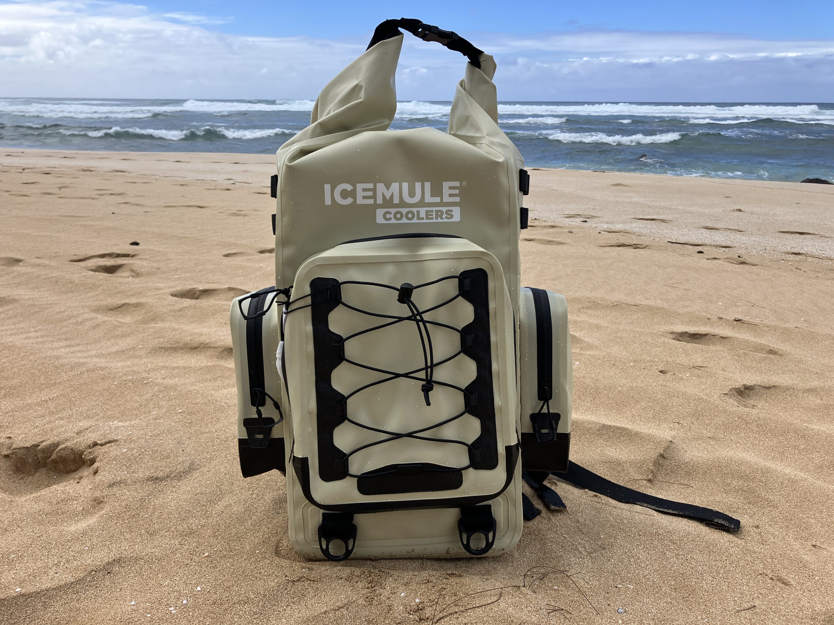 The IceMule Boss Backpack Cooler