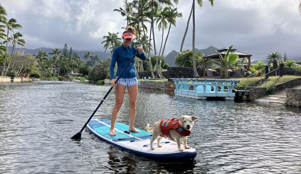 a woman and a dog paddling on a paddle board