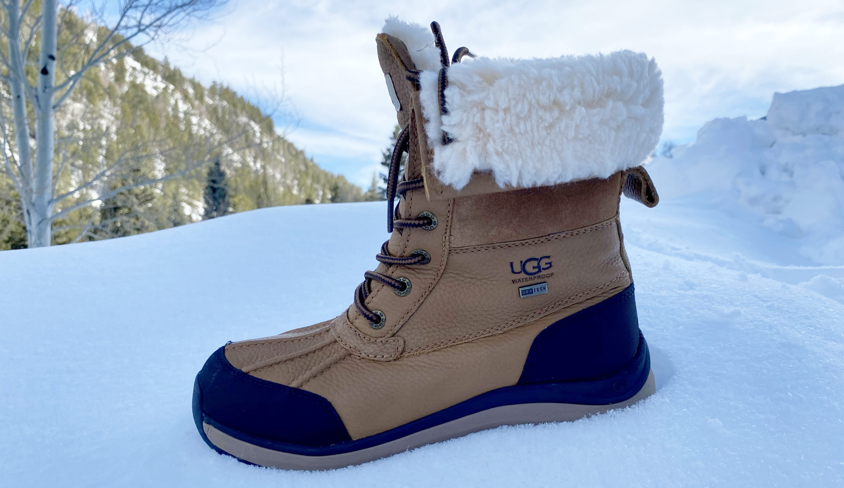Best Winter Boots for Women Ugg Adirondack 3