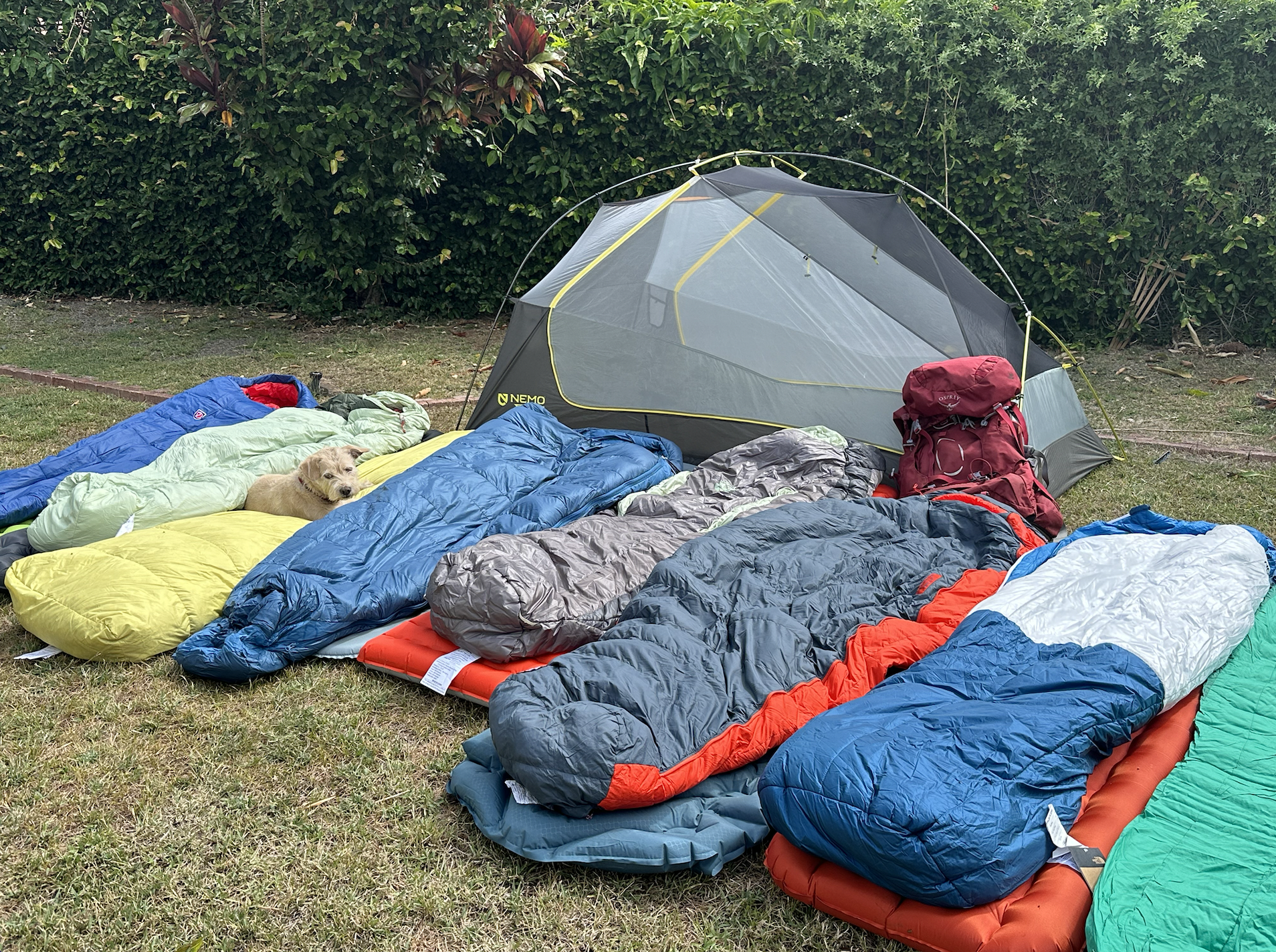 a bunch of backpacking sleeping bags laid out