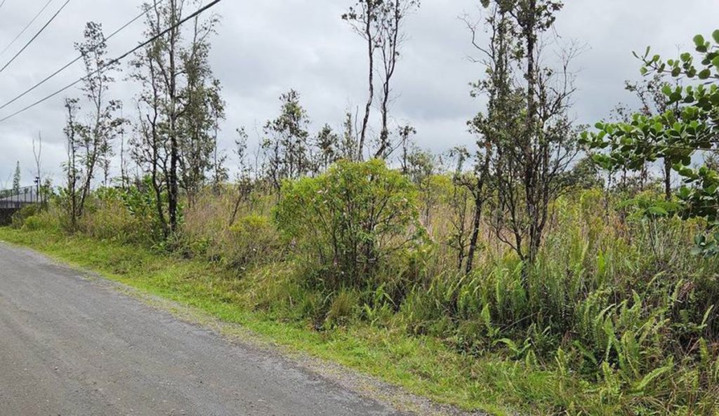 Developers build house on Big Island lot