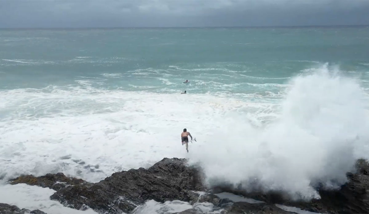 Snapper Rocks jump offs