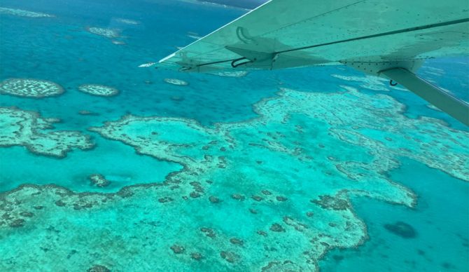 Great Barrier Reef mass bleaching