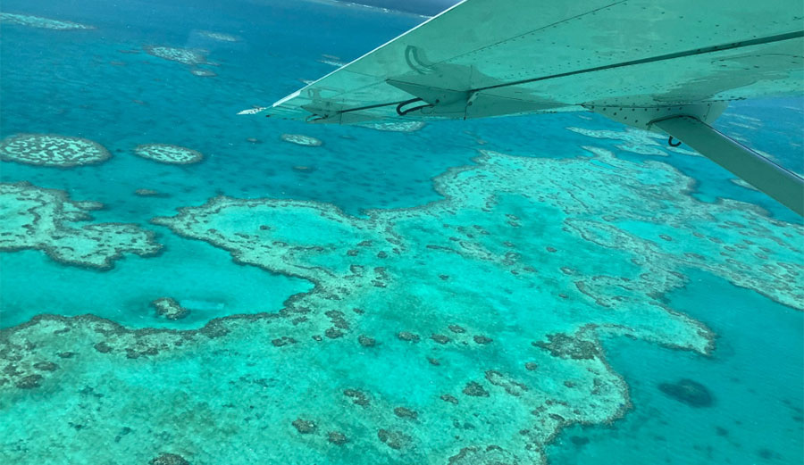 Great Barrier Reef mass bleaching