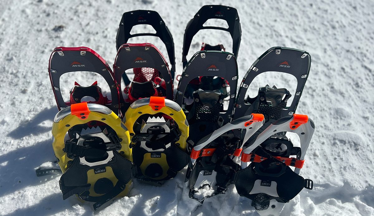 a group of snowshoes in the snow