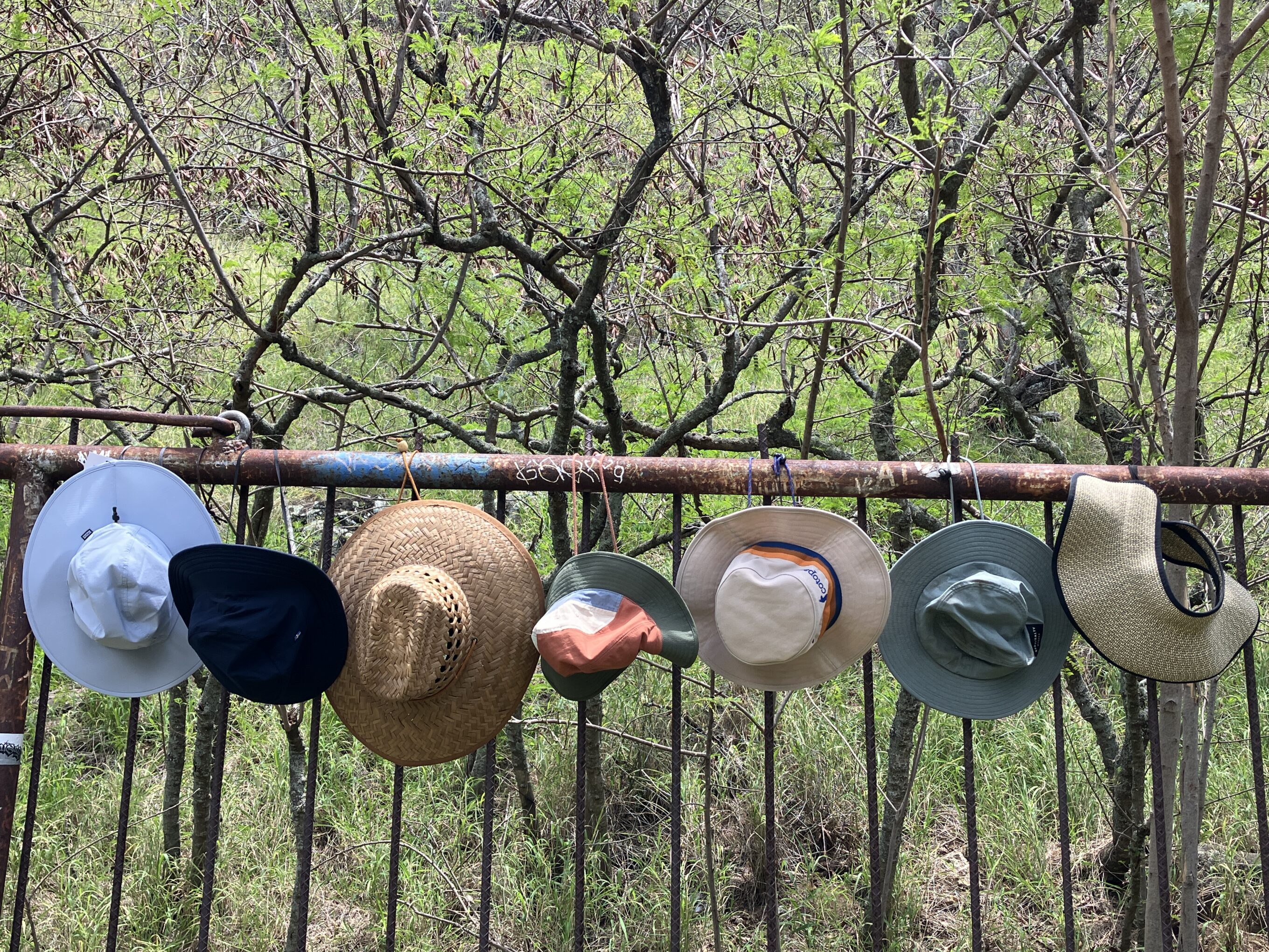 a bunch of sun hats handing on a fence