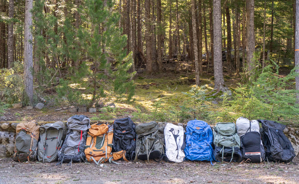 10 backpacks lined up next to the forest to showcase our list of the best backpacks for backpacking