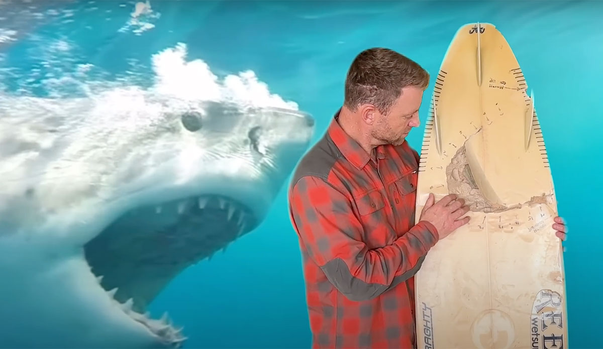 Shannon Ainslie shark attack