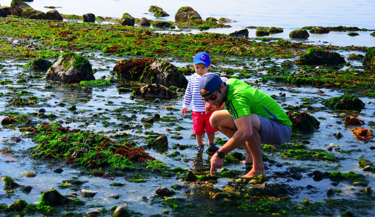 Nick Mallos and his son exploring the tide pooling.