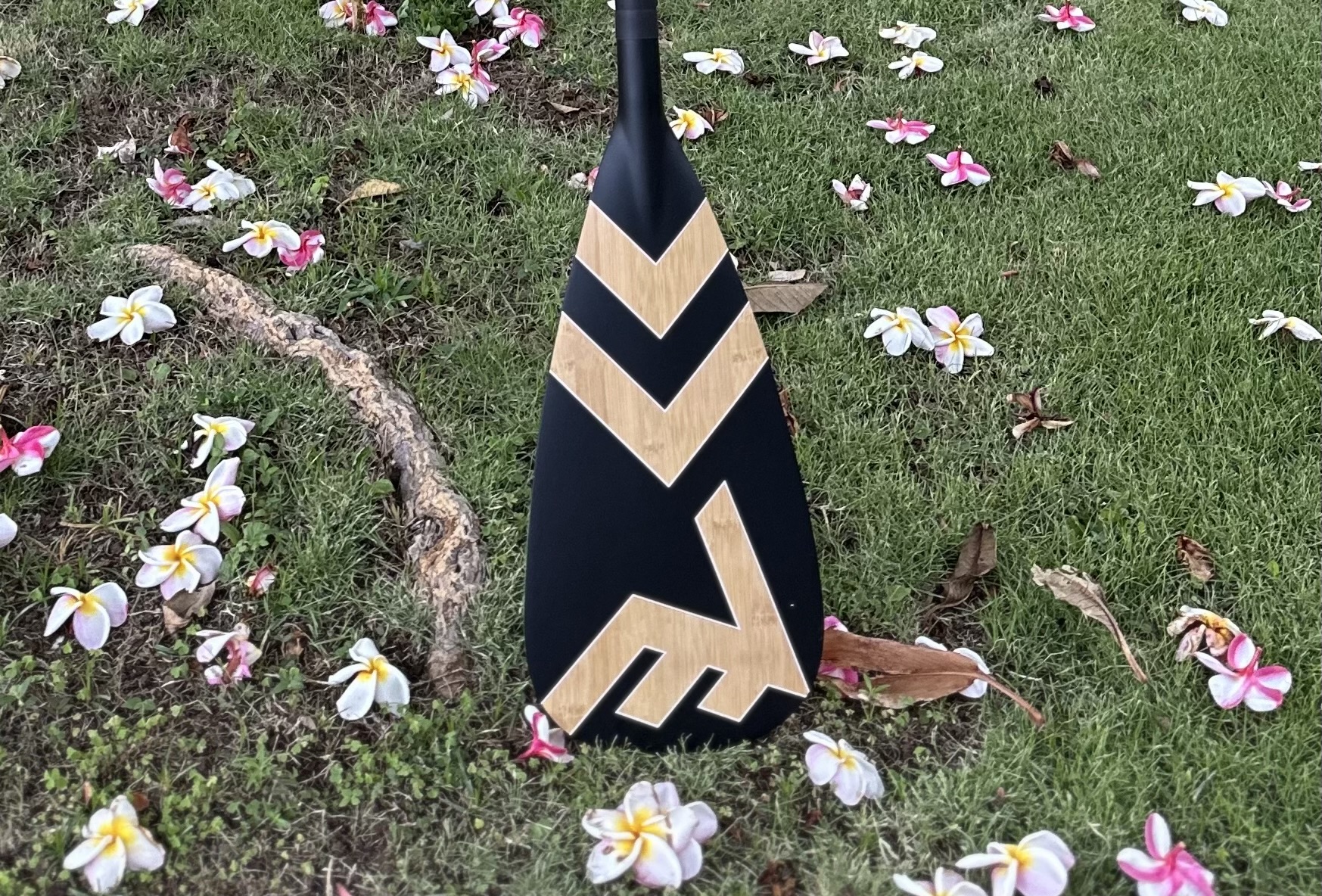vamo sup paddle
