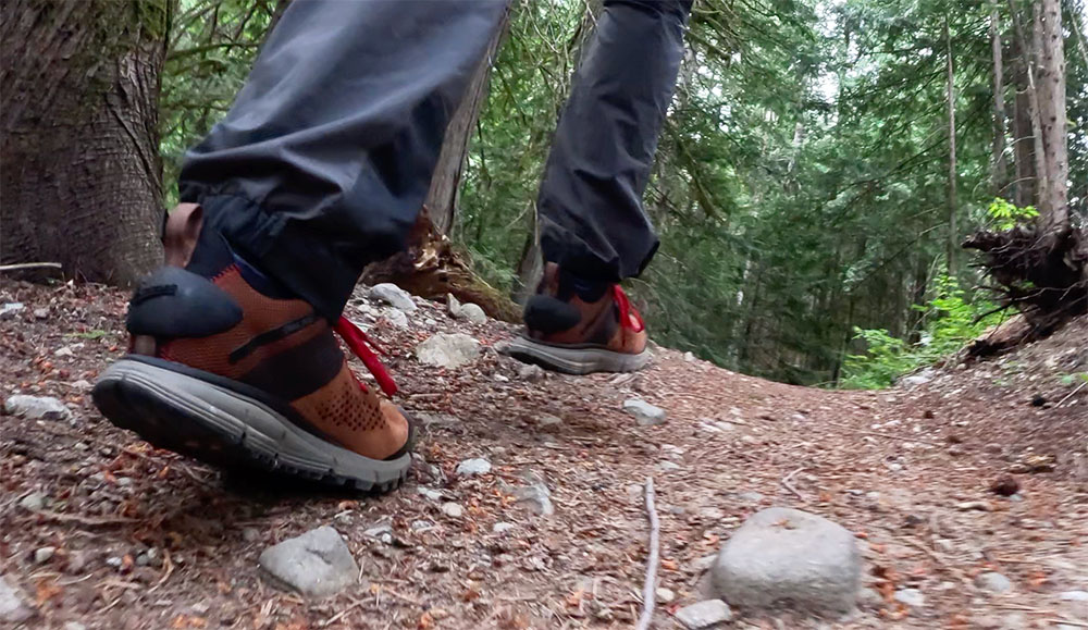 a view of the Danner Trail 2650 hiking shoes from behind
