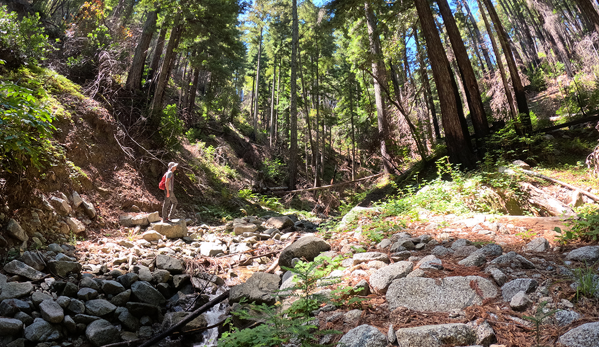 A Hiker Was Lost in the Santa Cruz Mountains for 10 Days; I Retraced His Steps to Find Out Why
