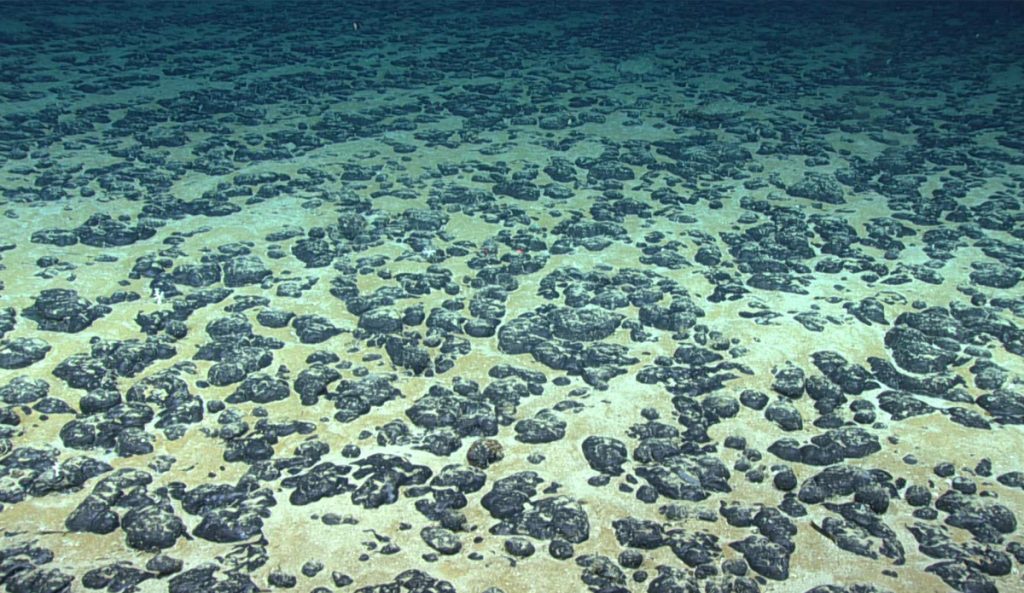 Polymetallic nodules on the ocean floor may be producing their own oxygen. Photo: NOAA Office of OER, 2019 Southeastern US Deep-sea Exploration