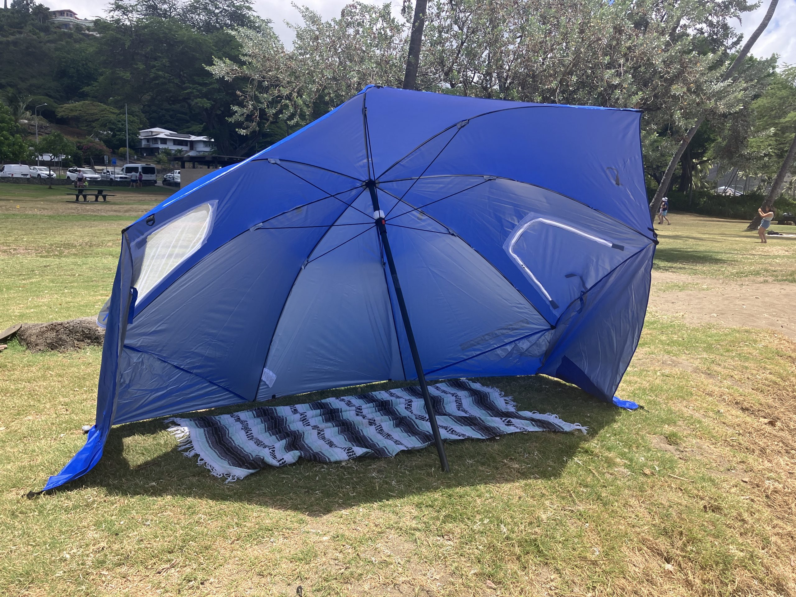 a beach umbrella on teh grass