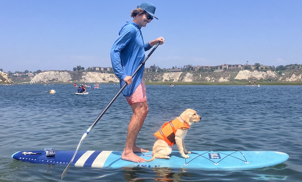 a man on a paddle board with a dog