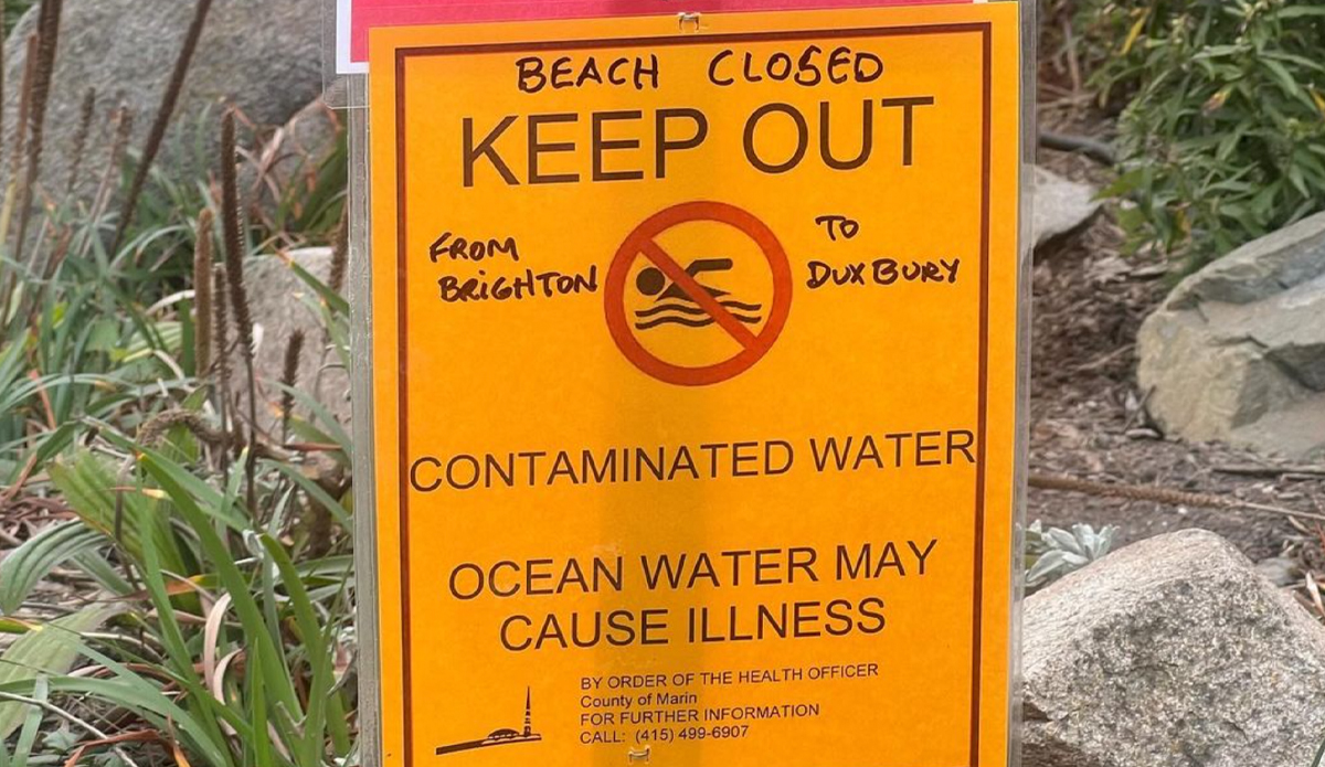 Photo: Bolinas Civic Group // Instagram