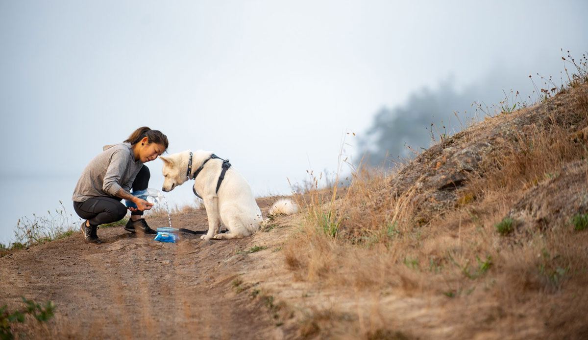 Ruffwear