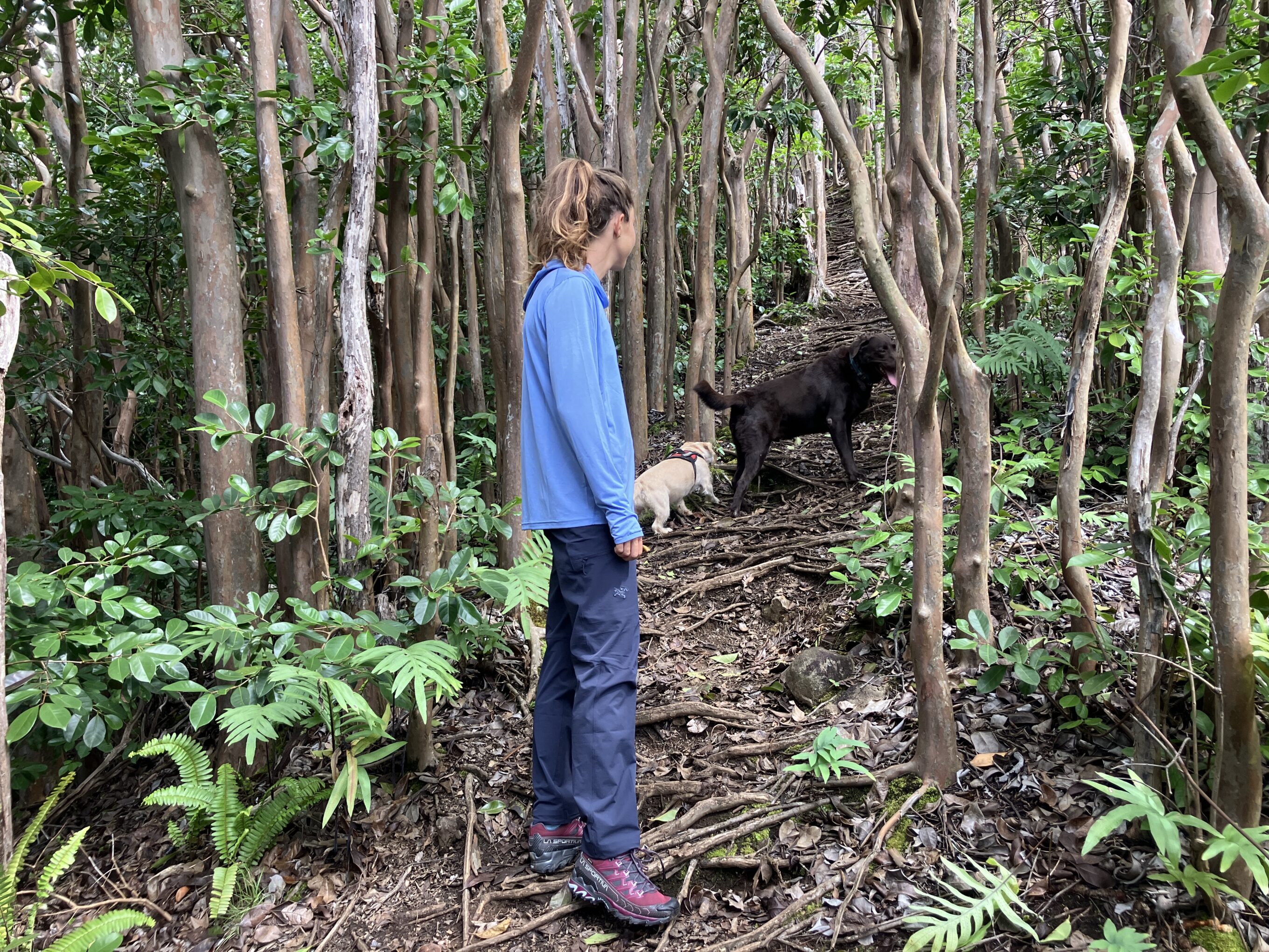 a woman hiking in the woods