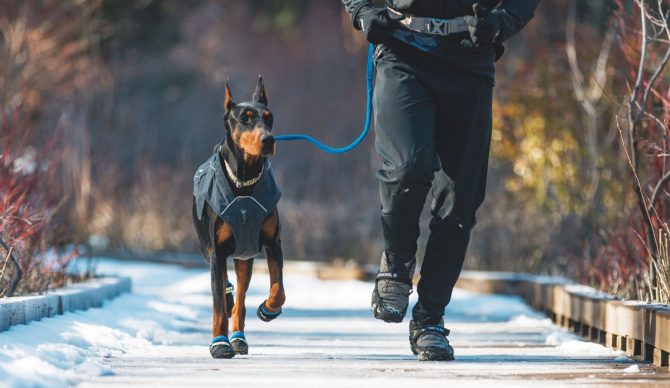 Ruffwear Winter Gear: Keep Your Dog Ready for Any Adventure This Season