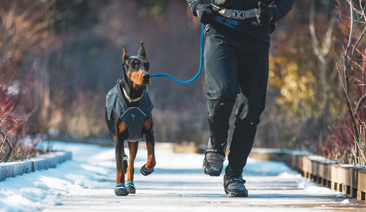 Ruffwear Winter Gear: Keep Your Dog Ready for Any Adventure This Season