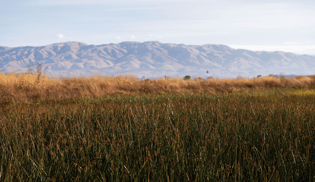 Alviso Marina County Park