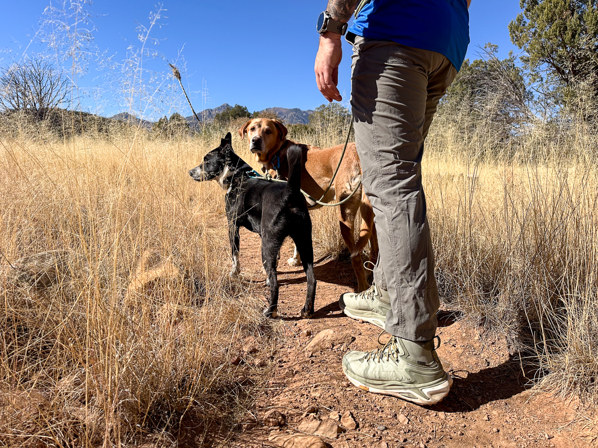 man wearing hiking boots with two dogs on trail