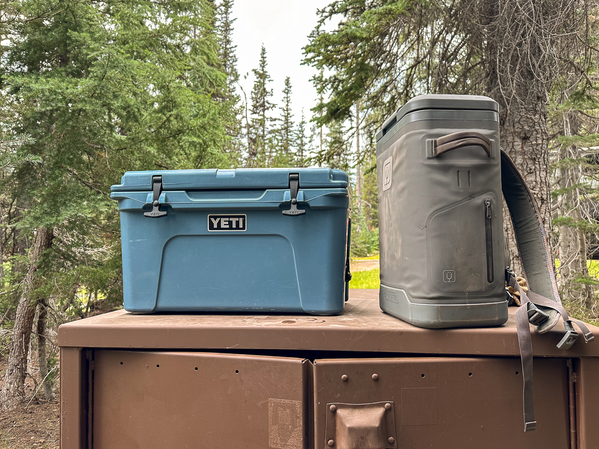 two coolers on a bear box