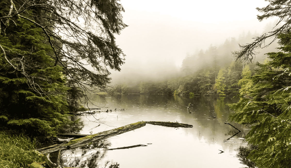 Moran State Park