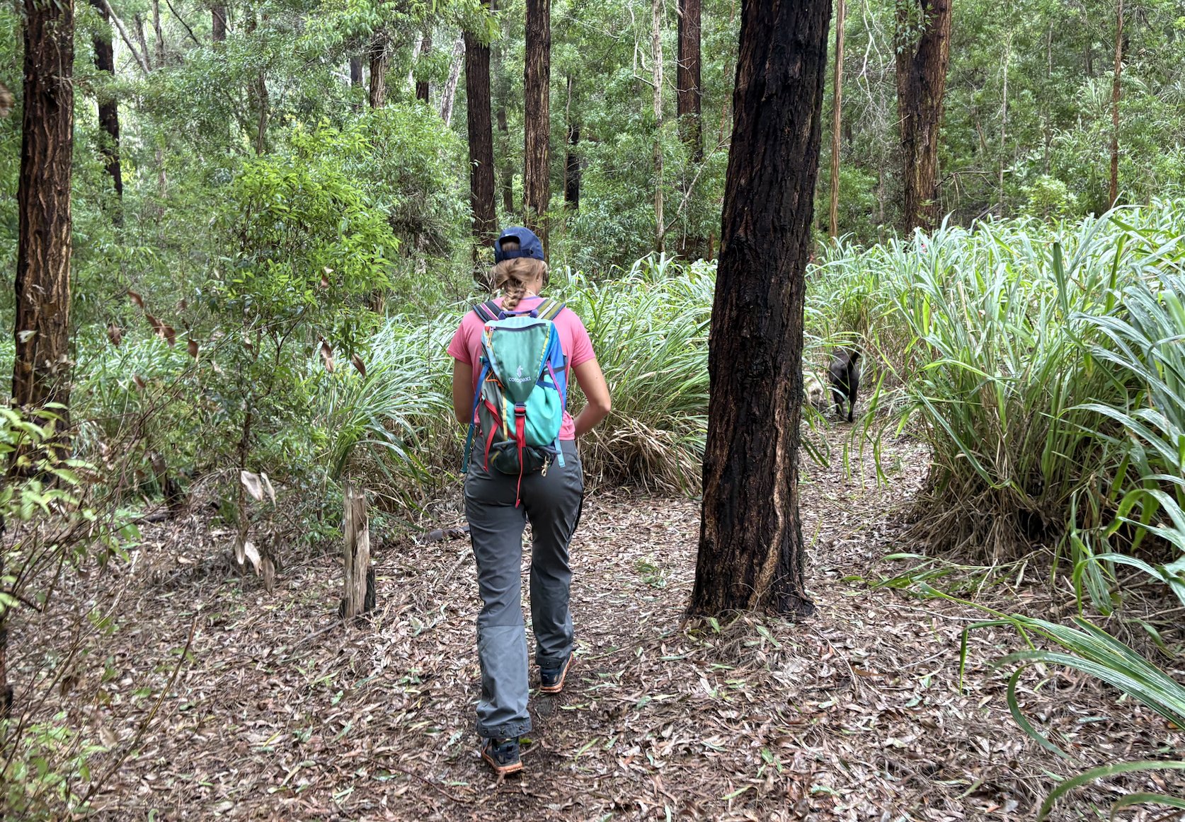 hiking in the forest in hiking pants 