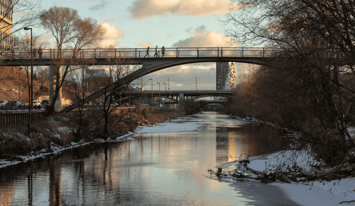 Don River