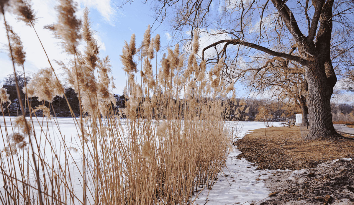High Park