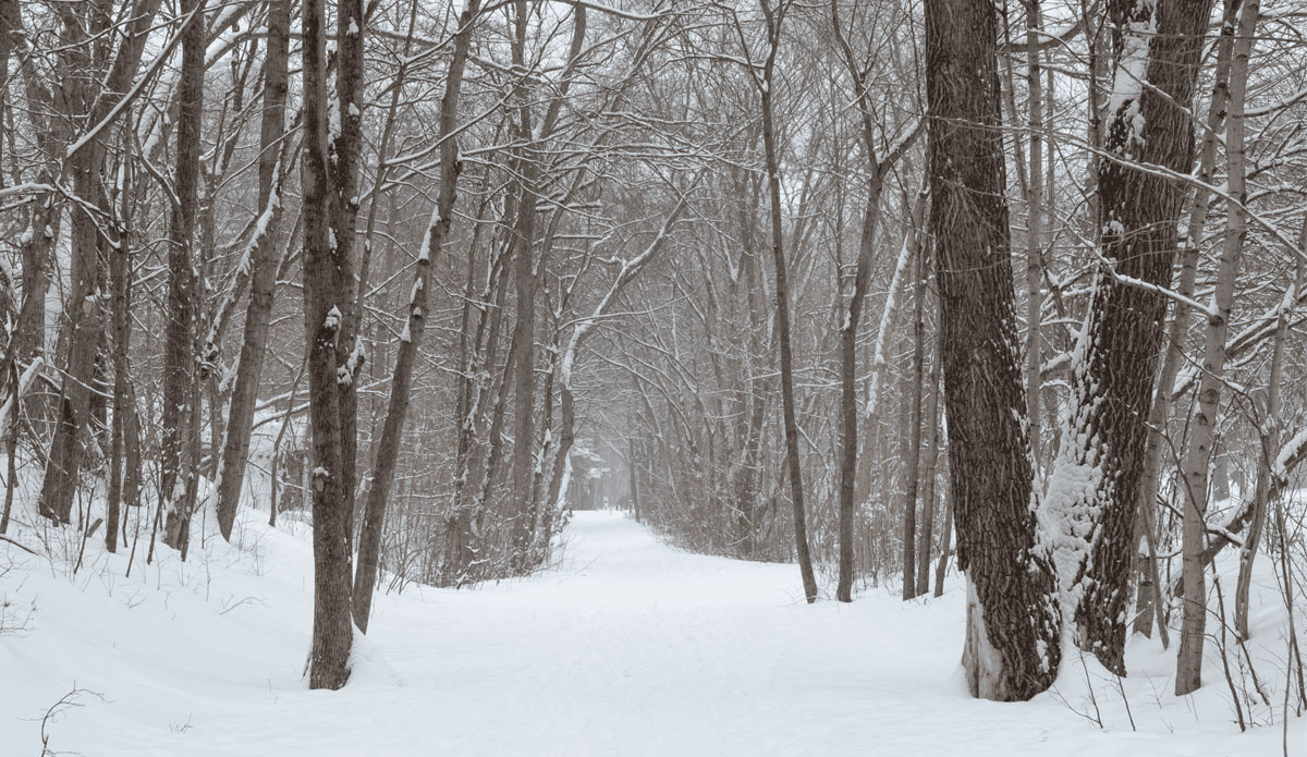Toronto Beltline