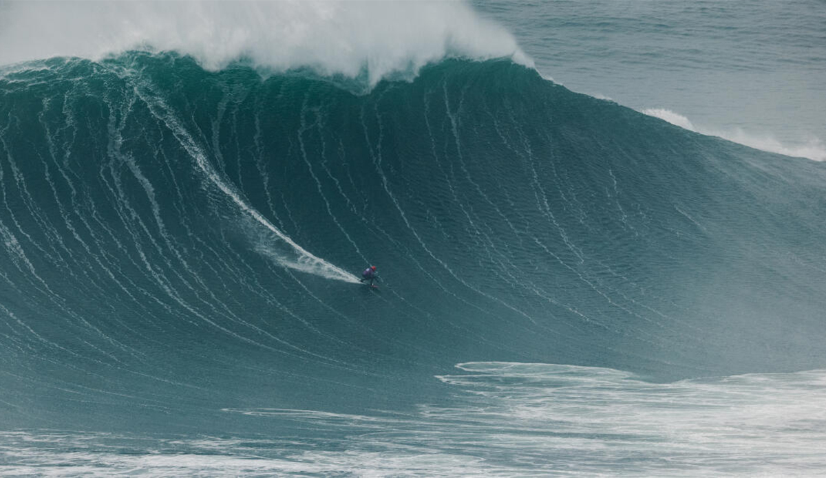 Photo: WSL
