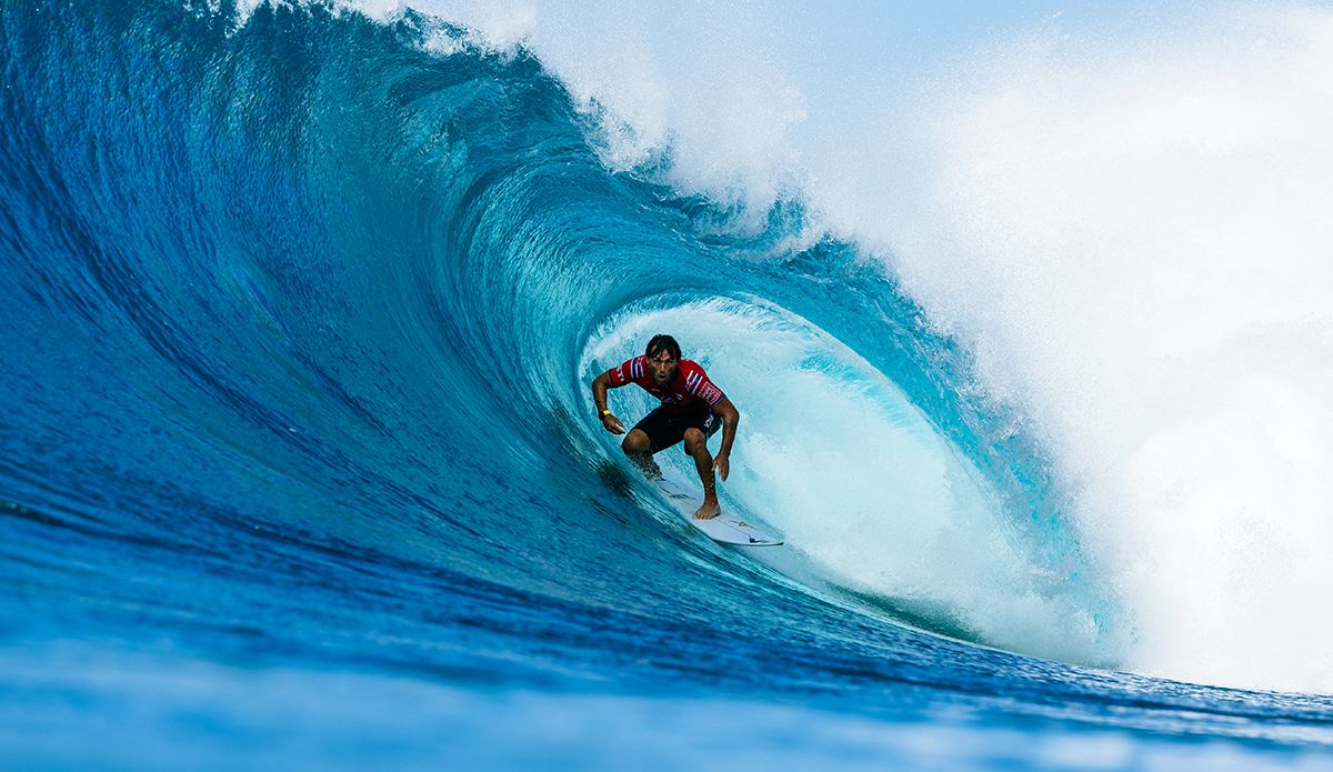 Photo: WSL