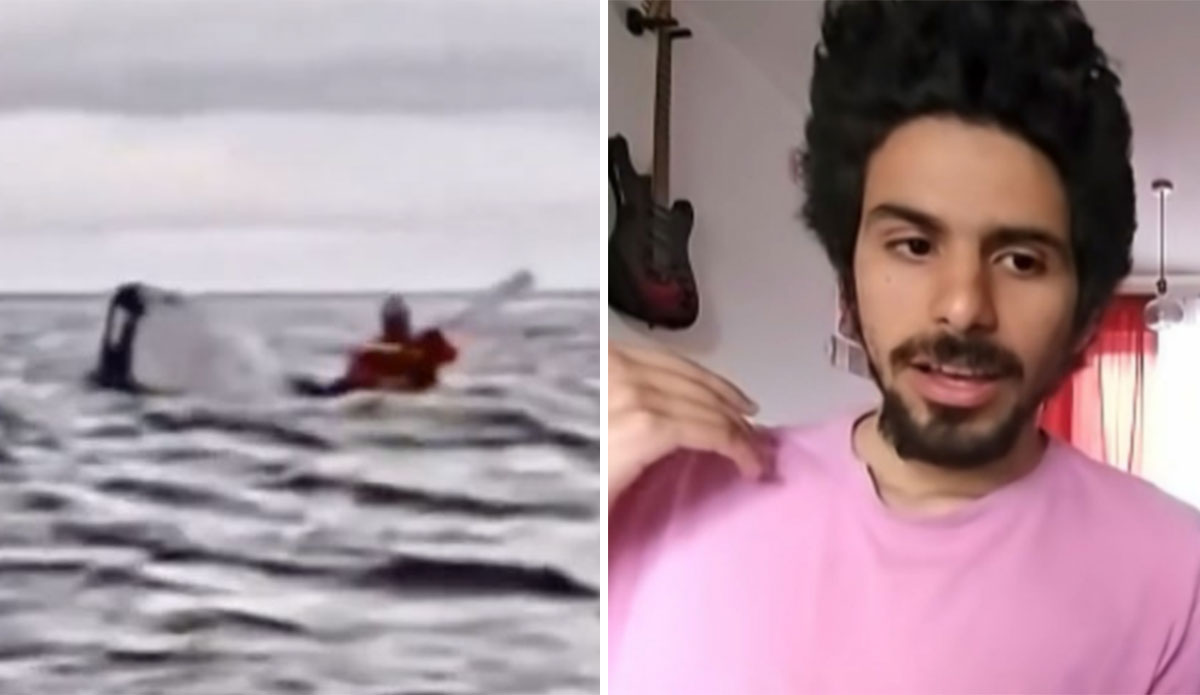 Humpback whale eats kayaker