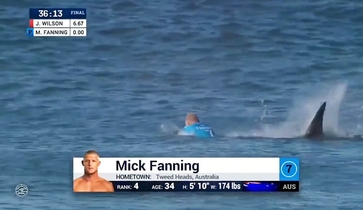 Mick Fanning Relives J-Bay Shark Attack on Podcast: 'It Would Come Back to Me in Dreams'