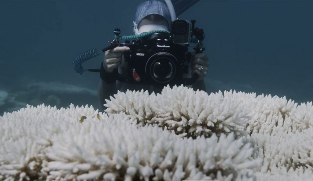 Ningaloo Reef