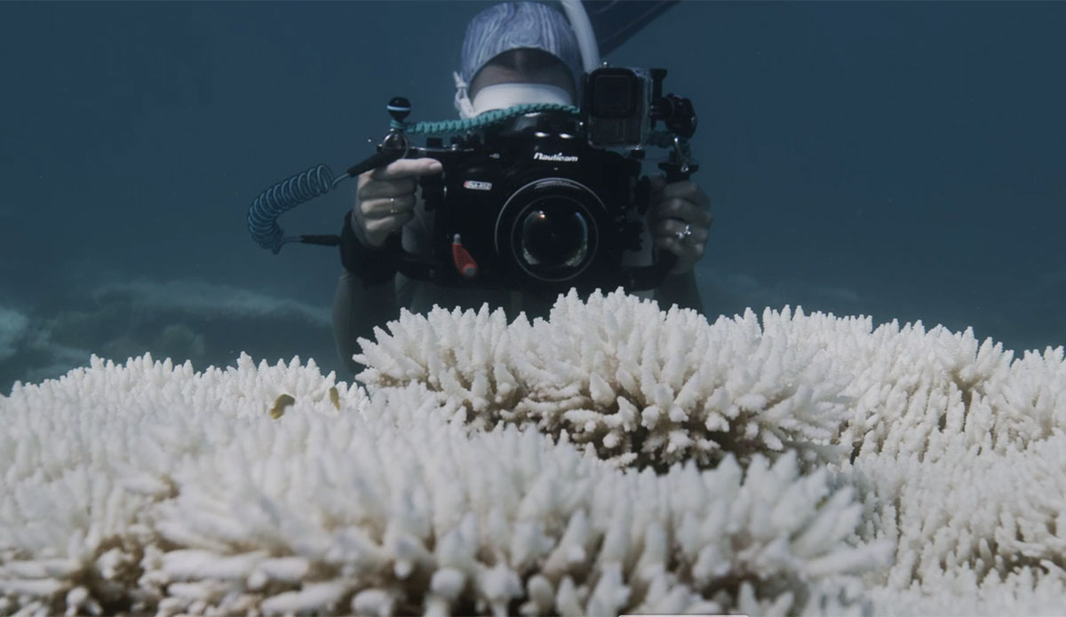 Ningaloo Reef