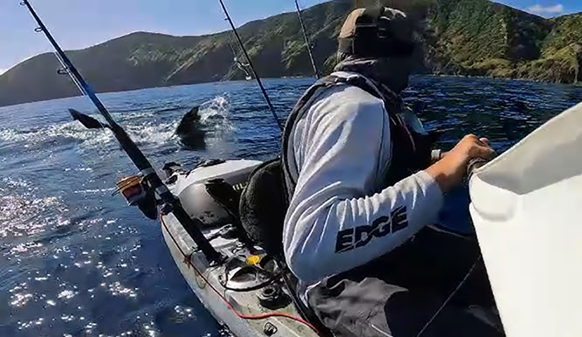 Check Out the Size of This Great White Shark as It Stalks a Kayak Fisherman