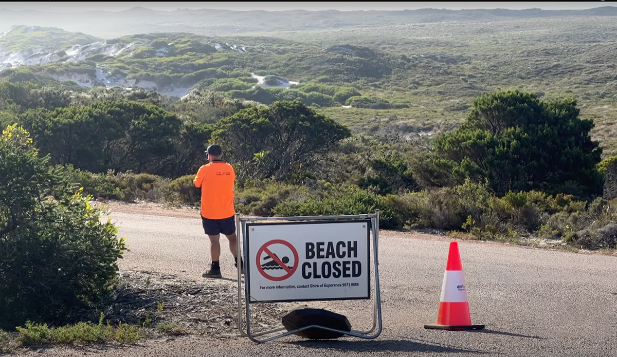 Photo: ABC News Australia // YouTube