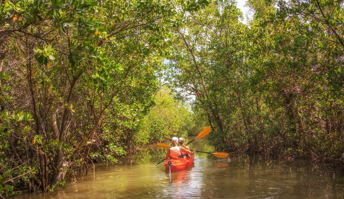 Roadtrip Through the Florida Keys on the Overseas Highway