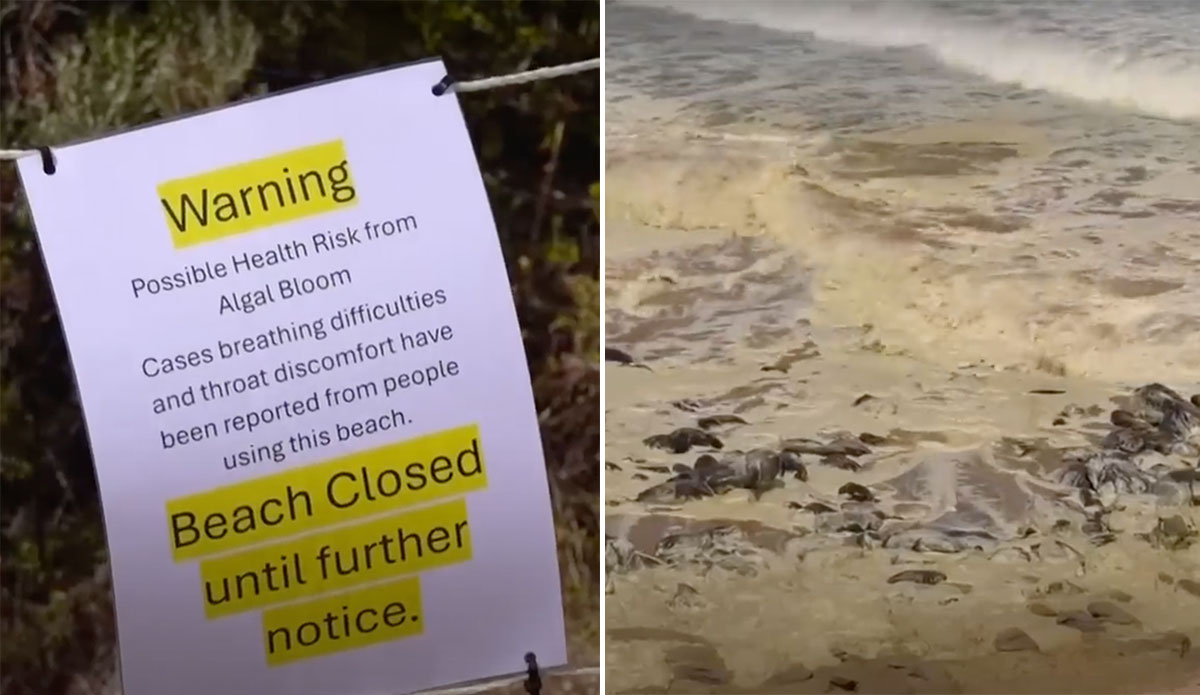 Australian beaches closed after sea foam