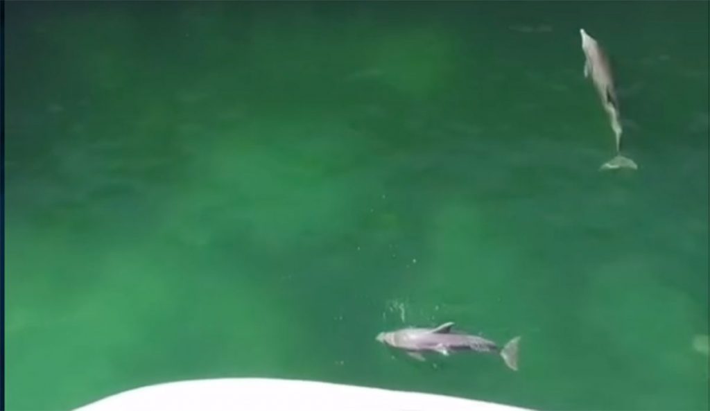 Florida Marine Park