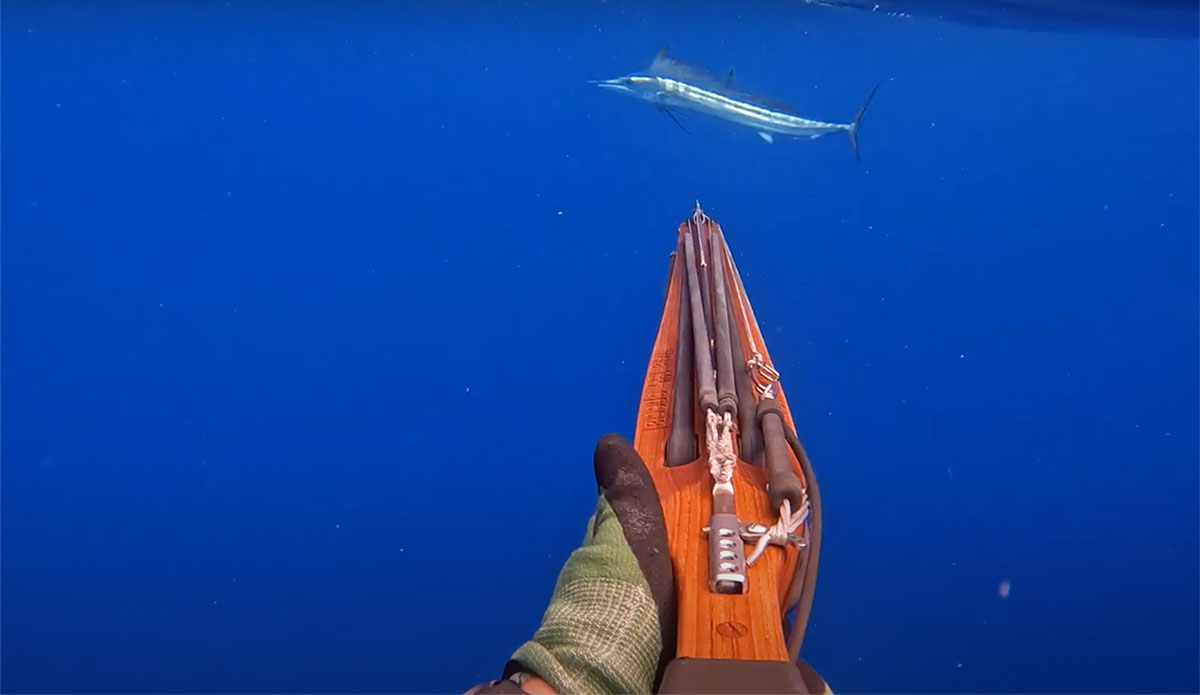 Mark Healey posts world record spearfishing shot